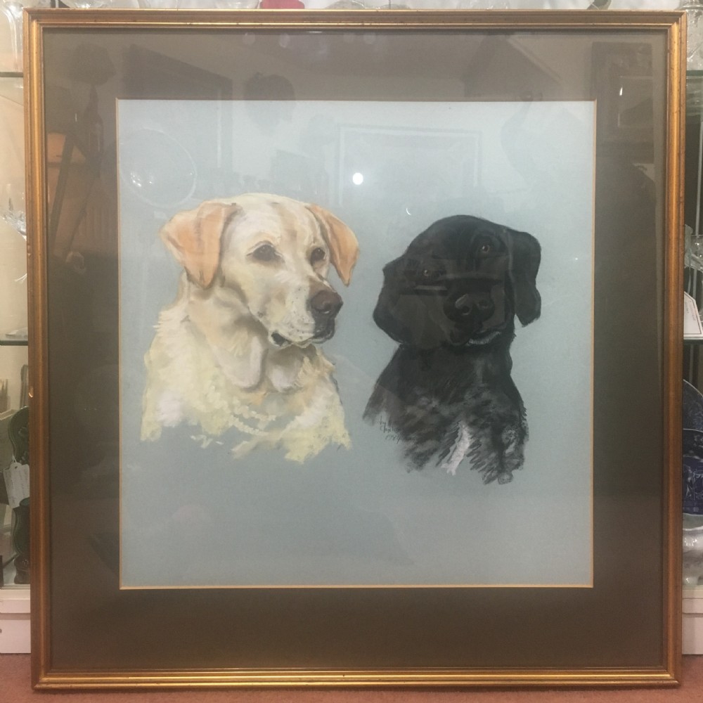 jay claxton signed pastel drawing of labrador spaniel 1984